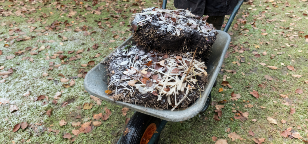 Wheelbarrow with frosty straw bales